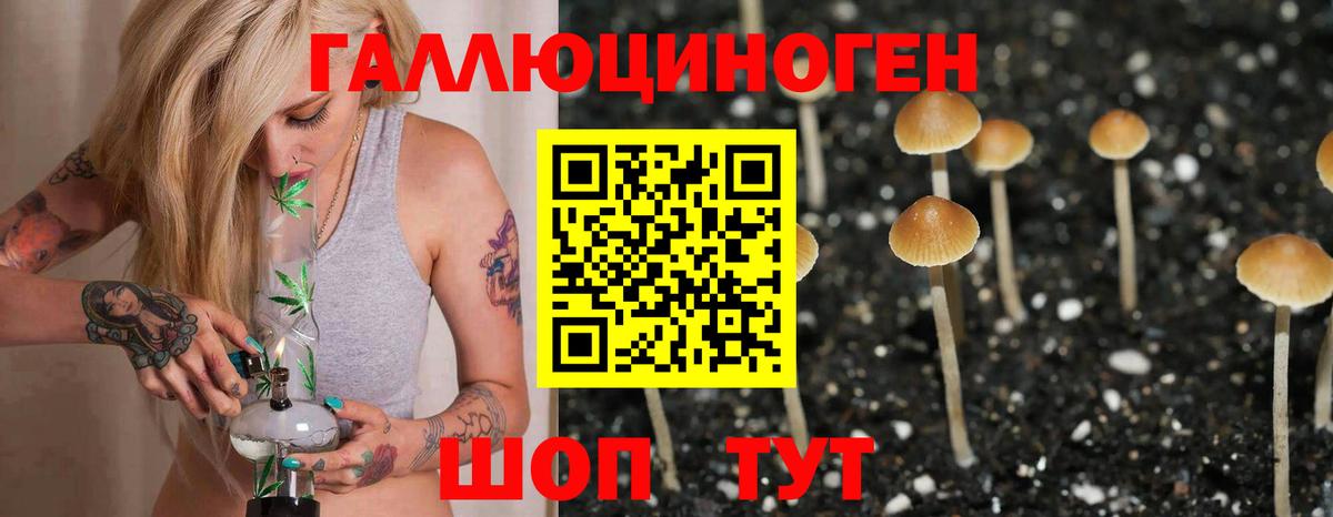 Ставрополь  Галлюциногенные грибы Psilocybine cubensis  сколько стоит  Вход с VPN 